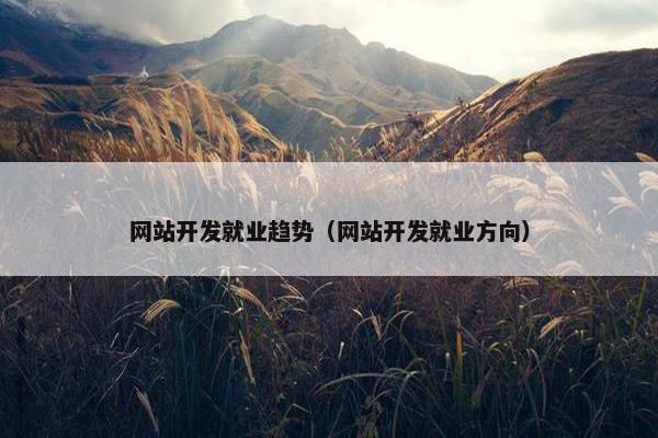 网站开发就业趋势（网站开发就业方向）