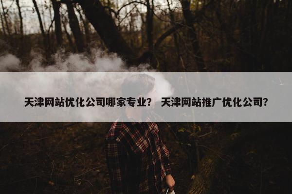天津网站优化公司哪家专业？ 天津网站推广优化公司？