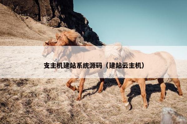 支主机建站系统源码（建站云主机）