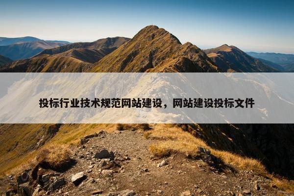 投标行业技术规范网站建设，网站建设投标文件