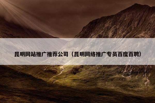 昆明网站推广推荐公司（昆明网络推广专员百度百聘）