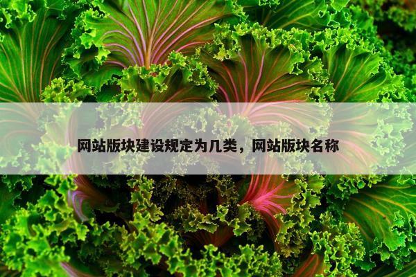 网站版块建设规定为几类，网站版块名称