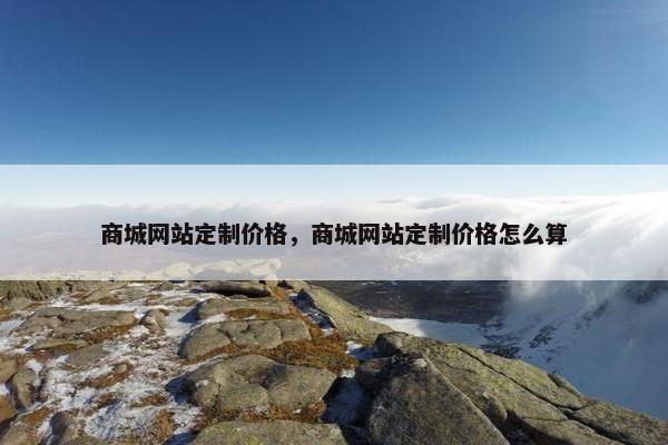 商城网站定制价格，商城网站定制价格怎么算