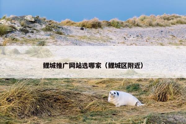鲤城推广网站选哪家（鲤城区附近）