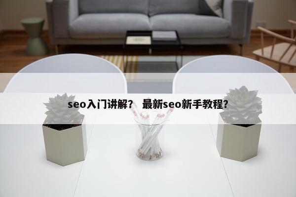 seo入门讲解？ 最新seo新手教程？