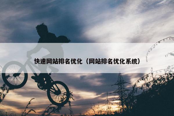 快速网站排名优化（网站排名优化系统）