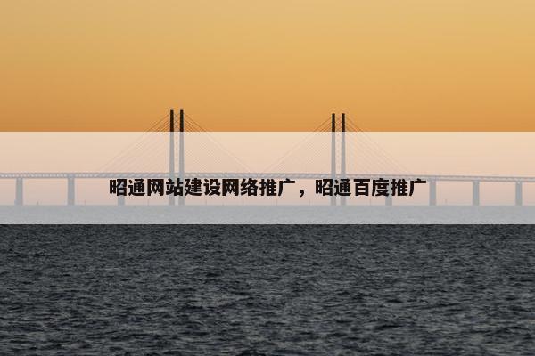 昭通网站建设网络推广，昭通百度推广