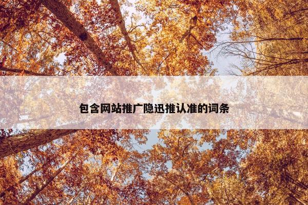 包含网站推广隐迅推认准的词条