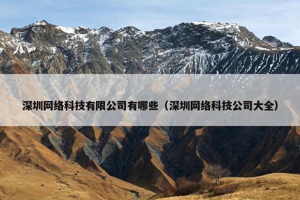 深圳网络科技有限公司有哪些（深圳网络科技公司大全）