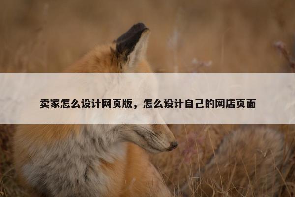 卖家怎么设计网页版，怎么设计自己的网店页面