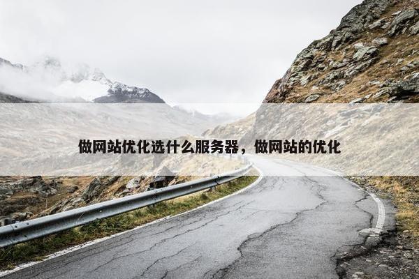 做网站优化选什么服务器，做网站的优化