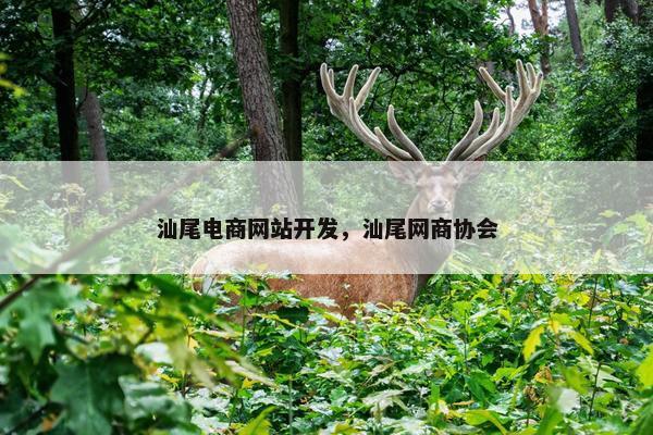 汕尾电商网站开发，汕尾网商协会