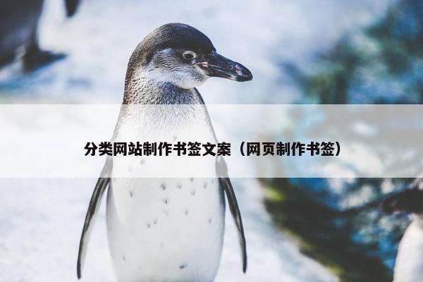 分类网站制作书签文案（网页制作书签）