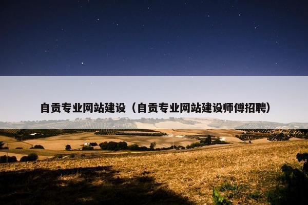 自贡专业网站建设（自贡专业网站建设师傅招聘）