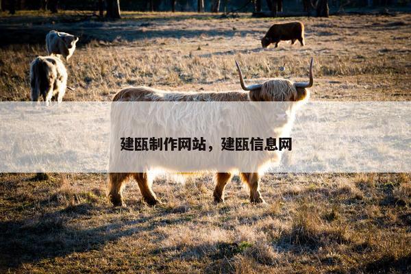 建瓯制作网站，建瓯信息网