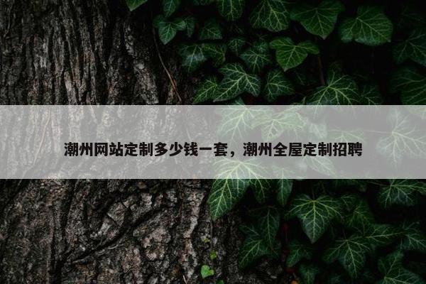 潮州网站定制多少钱一套，潮州全屋定制招聘