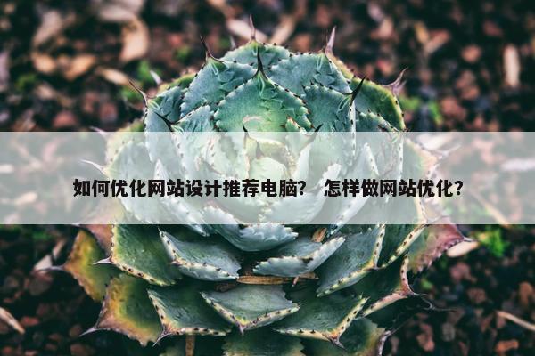 如何优化网站设计推荐电脑？ 怎样做网站优化？