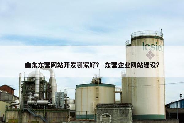 山东东营网站开发哪家好？ 东营企业网站建设？