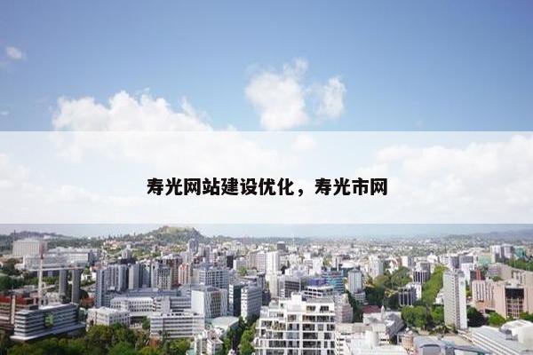 寿光网站建设优化，寿光市网