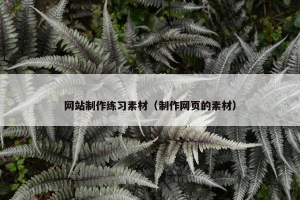 网站制作练习素材（制作网页的素材）