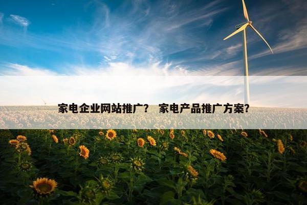 家电企业网站推广？ 家电产品推广方案？