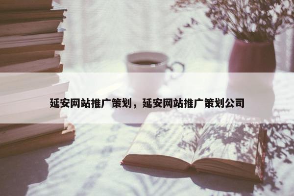 延安网站推广策划，延安网站推广策划公司