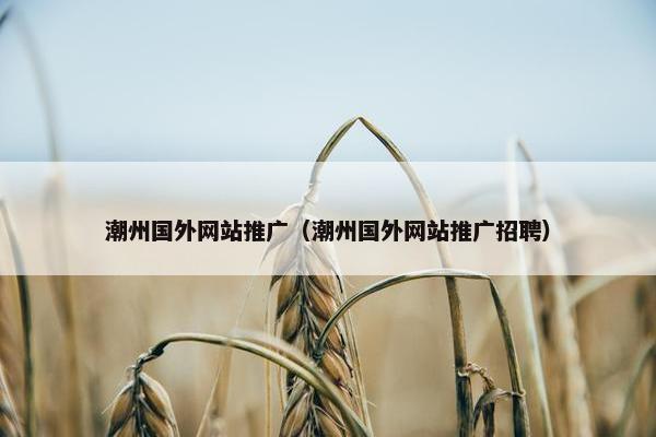 潮州国外网站推广（潮州国外网站推广招聘）