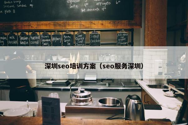 深圳seo培训方案（seo服务深圳）