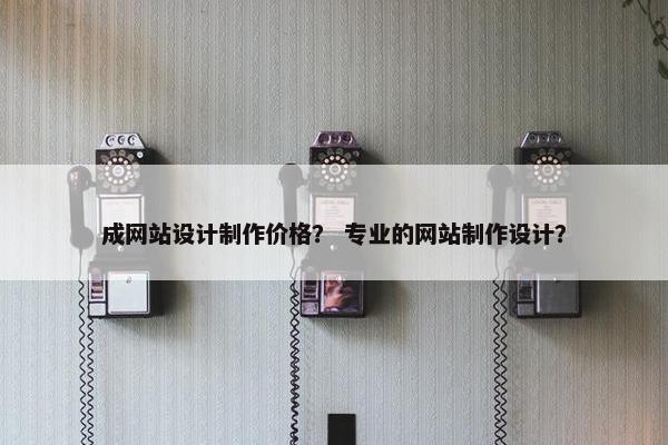 成网站设计制作价格？ 专业的网站制作设计？