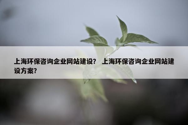 上海环保咨询企业网站建设？ 上海环保咨询企业网站建设方案？