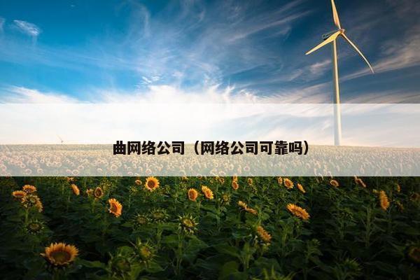 曲网络公司（网络公司可靠吗）
