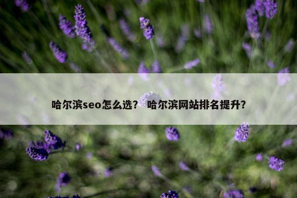哈尔滨seo怎么选？ 哈尔滨网站排名提升？