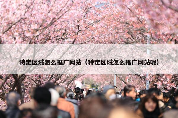 特定区域怎么推广网站（特定区域怎么推广网站呢）
