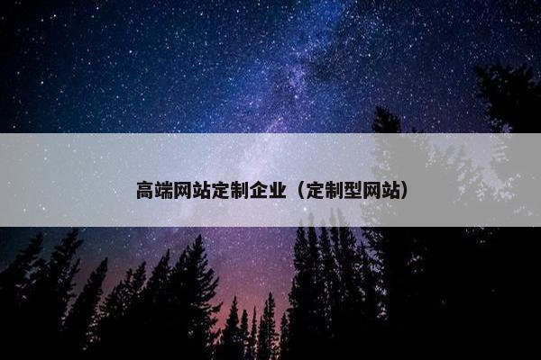 高端网站定制企业（定制型网站）