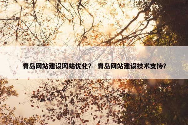 青岛网站建设网站优化？ 青岛网站建设技术支持？