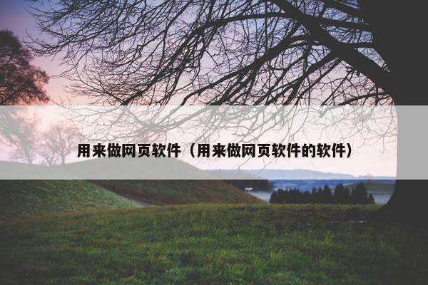 用来做网页软件（用来做网页软件的软件）