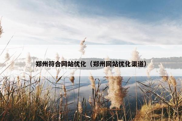 郑州符合网站优化（郑州网站优化渠道）