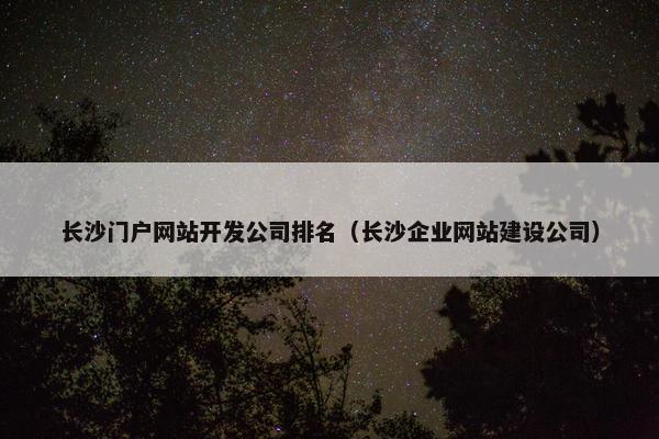 长沙门户网站开发公司排名（长沙企业网站建设公司）