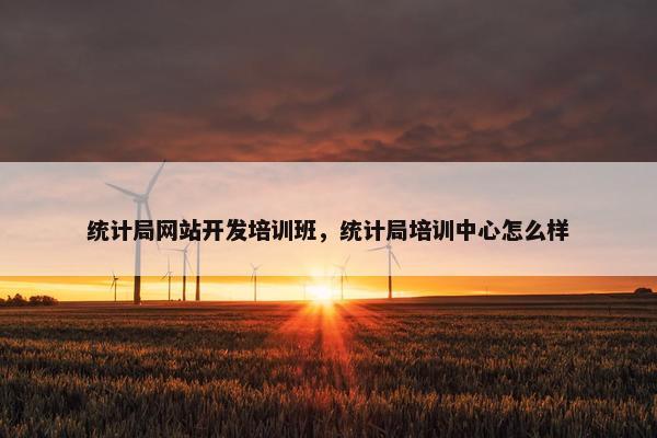 统计局网站开发培训班，统计局培训中心怎么样