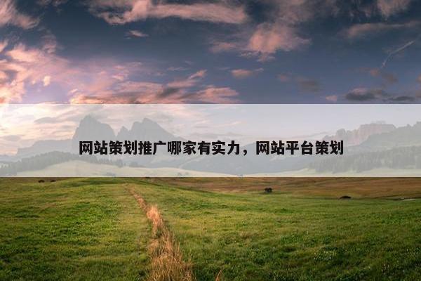 网站策划推广哪家有实力，网站平台策划
