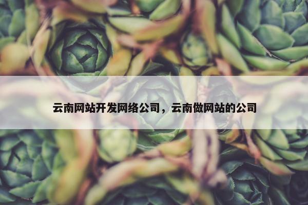 云南网站开发网络公司，云南做网站的公司