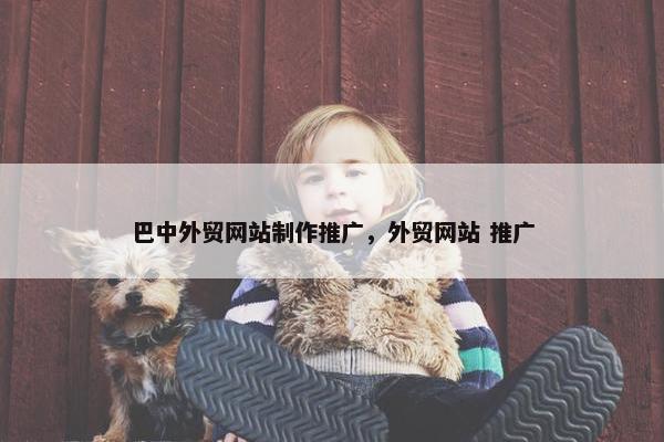 巴中外贸网站制作推广，外贸网站 推广