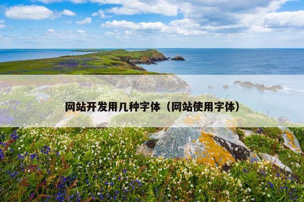 网站开发用几种字体（网站使用字体）