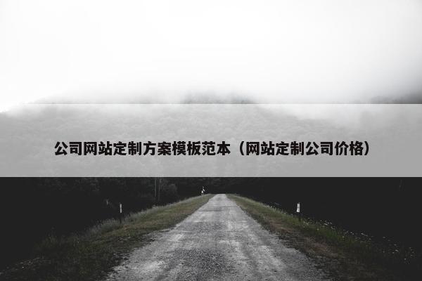 公司网站定制方案模板范本（网站定制公司价格）