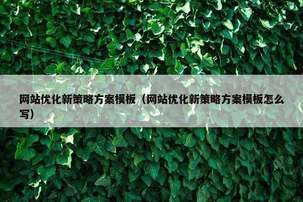 网站优化新策略方案模板（网站优化新策略方案模板怎么写）