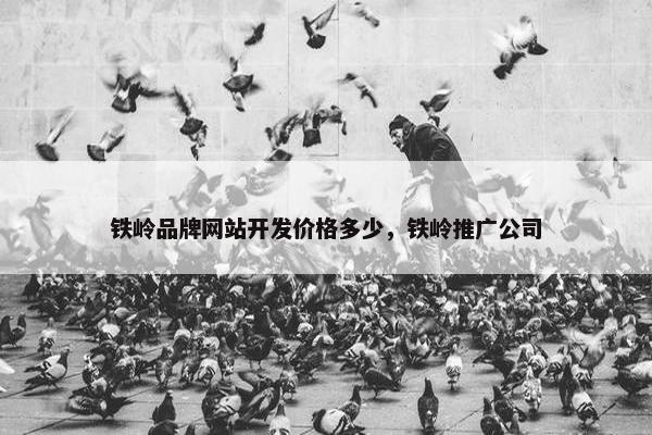 铁岭品牌网站开发价格多少，铁岭推广公司