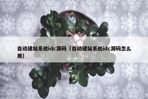 自动建站系统idc源码（自动建站系统idc源码怎么用）