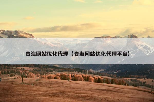 青海网站优化代理（青海网站优化代理平台）