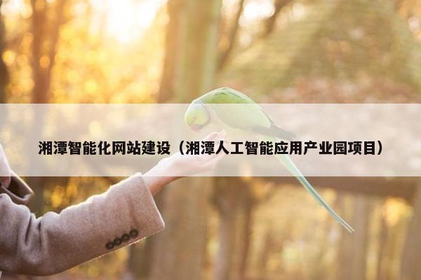 湘潭智能化网站建设（湘潭人工智能应用产业园项目）