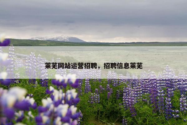 莱芜网站运营招聘，招聘信息莱芜